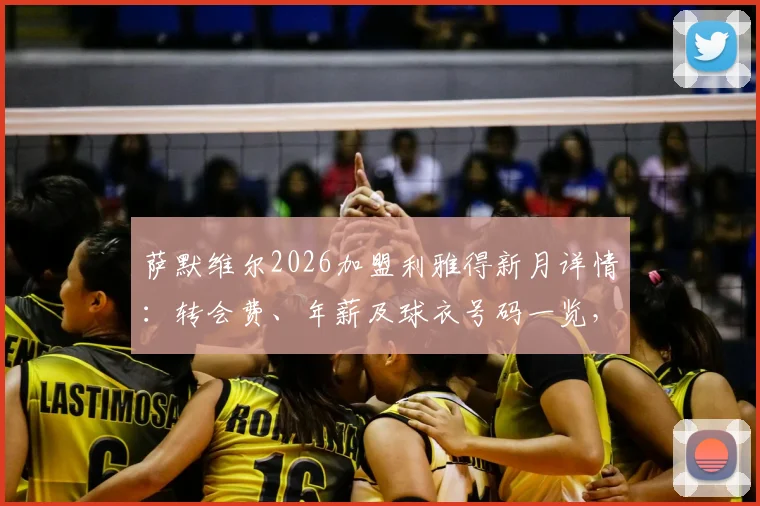 萨默维尔2026加盟利雅得新月详情:转会费、年薪及球衣号码一览,深度解析其为何直言“无法拒绝”